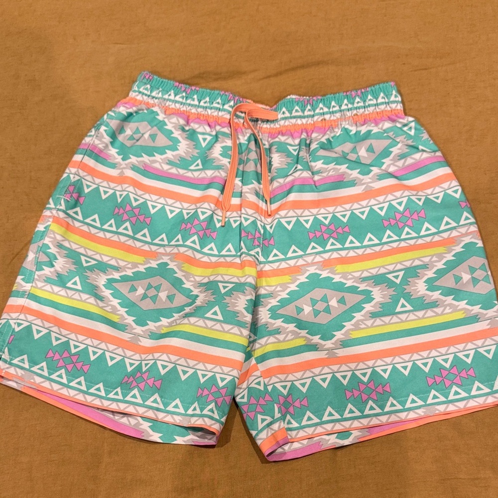 Chubbies Teal and Pink Geometric Men's Shorts